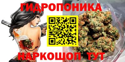 скорость Можга