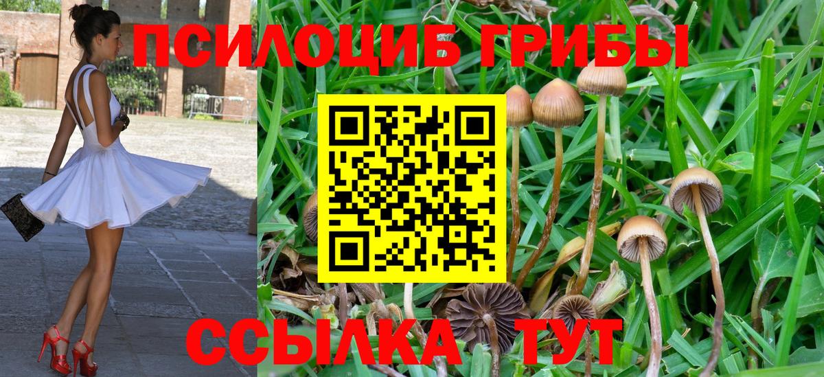 Галлюциногенные грибы прущие грибы Усолье-Сибирское
